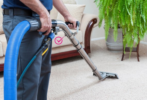 carpet dry cleaning carrara