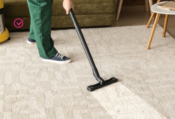 carpet dry cleaning helensvale
