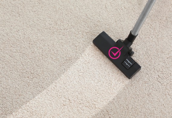 carpet dry cleaning pacific pines