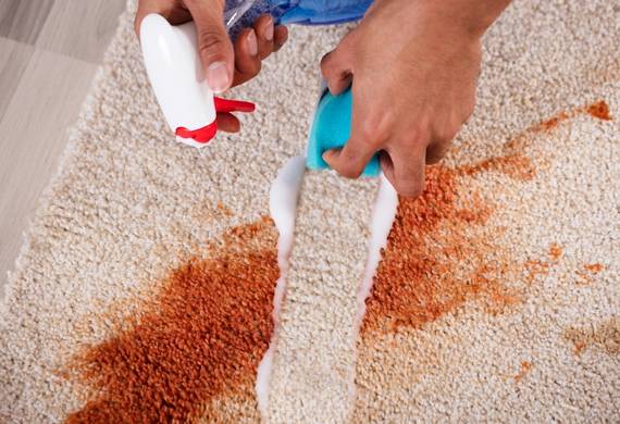 carpet steam cleaning arundel