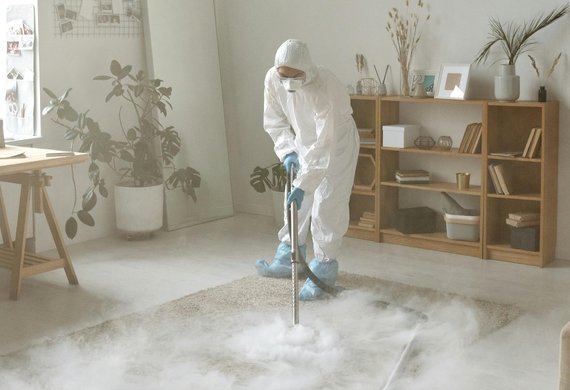 carpet steam cleaning oxenford